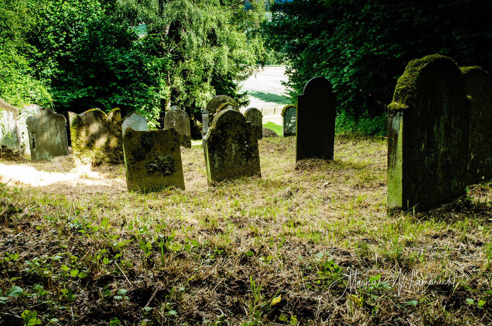 Jüdischer Friedhof Sielen